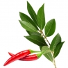Especias