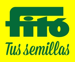 Fitó